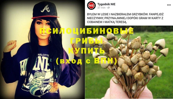 соль ск Нефтегорск